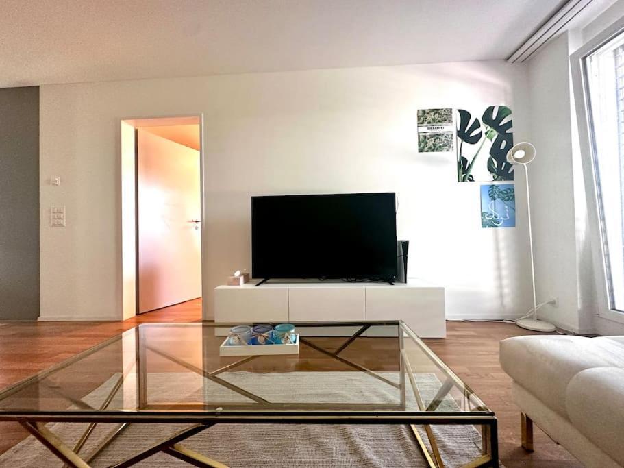 Moderne Wohnung Am Flughafen Opfikon-Glattbrugg Exteriör bild